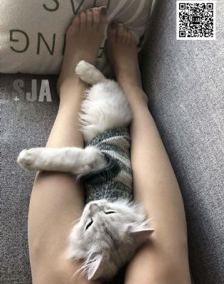 国产亚洲这里只有精品_DVD日韩电影在线