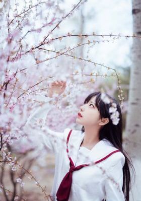 蜜桃成人在线_超清在线观看电视